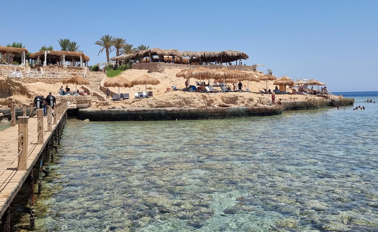 El Fanar Beach'in fotoğrafı beton kaplı yüzey yüzey ile