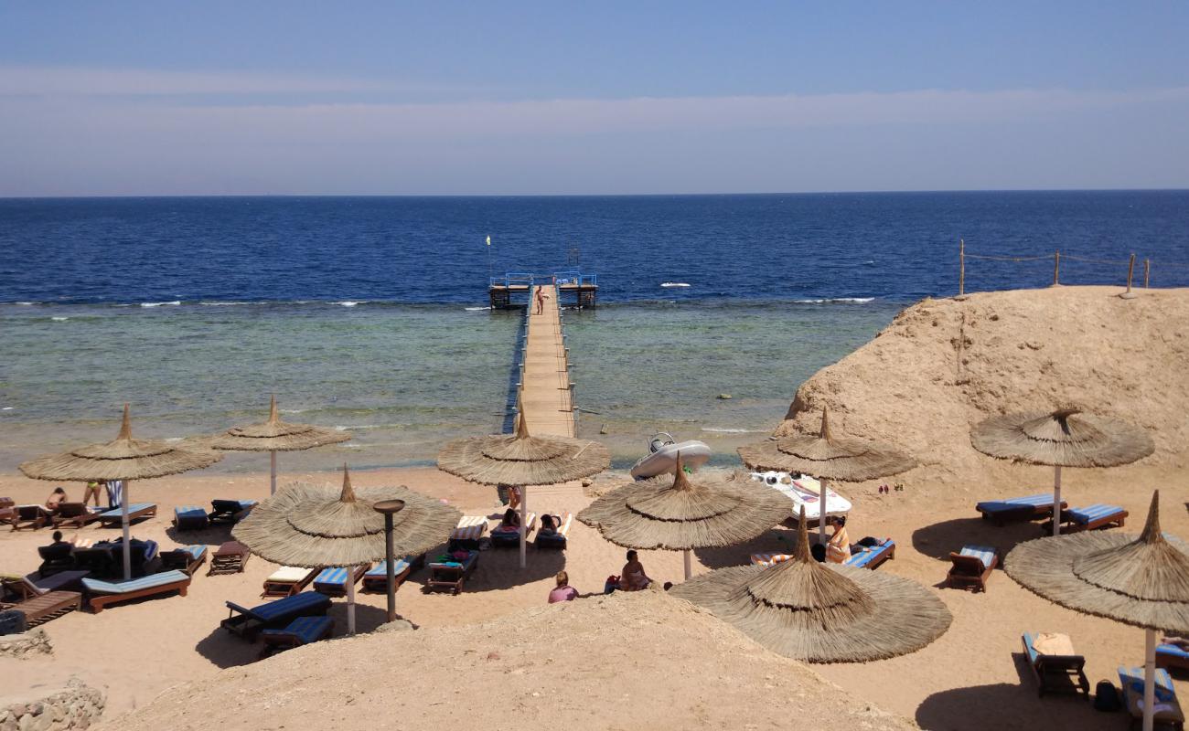 St. George Coral Beach'in fotoğrafı beton kapak yüzey ile