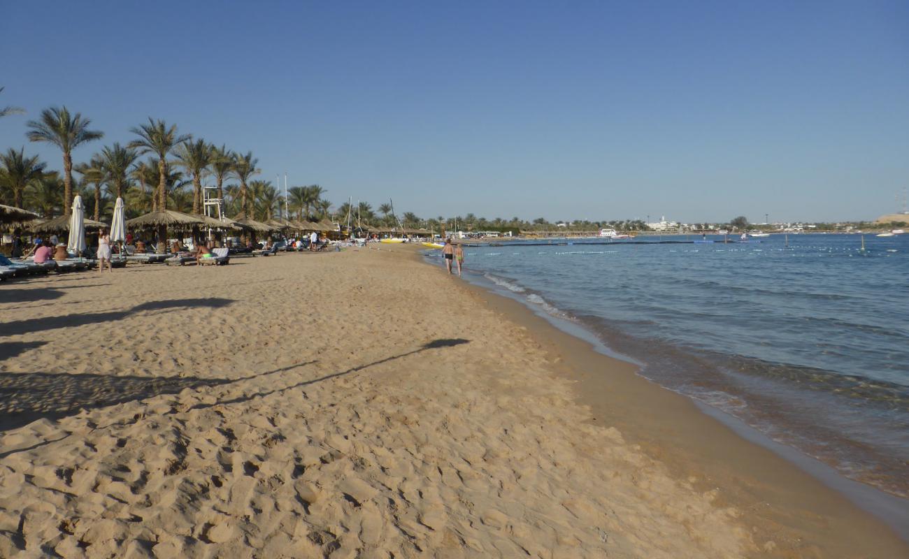 Naama bay beach'in fotoğrafı parlak kum yüzey ile