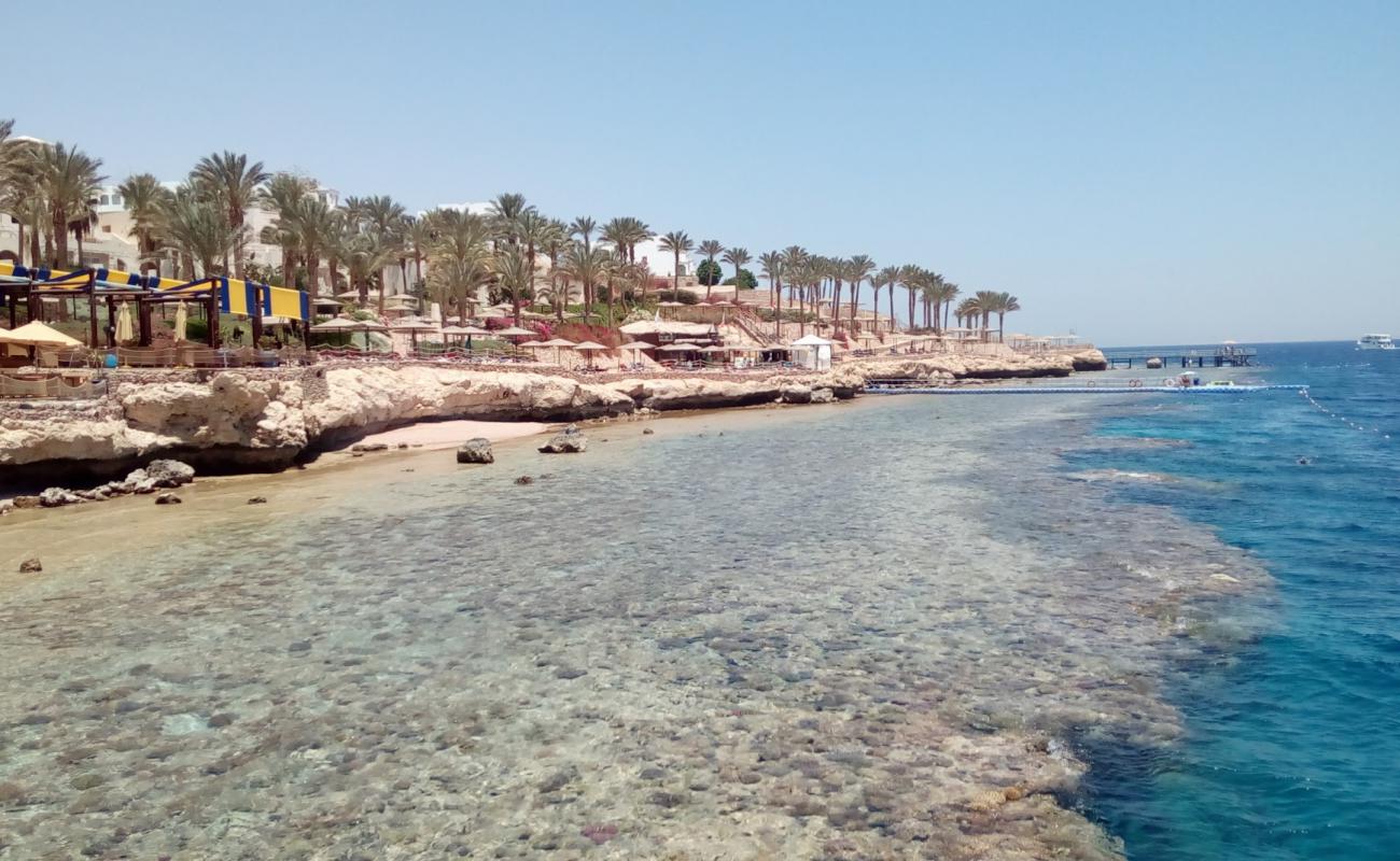 Rotana resort beach'in fotoğrafı beton kaplı yüzey yüzey ile