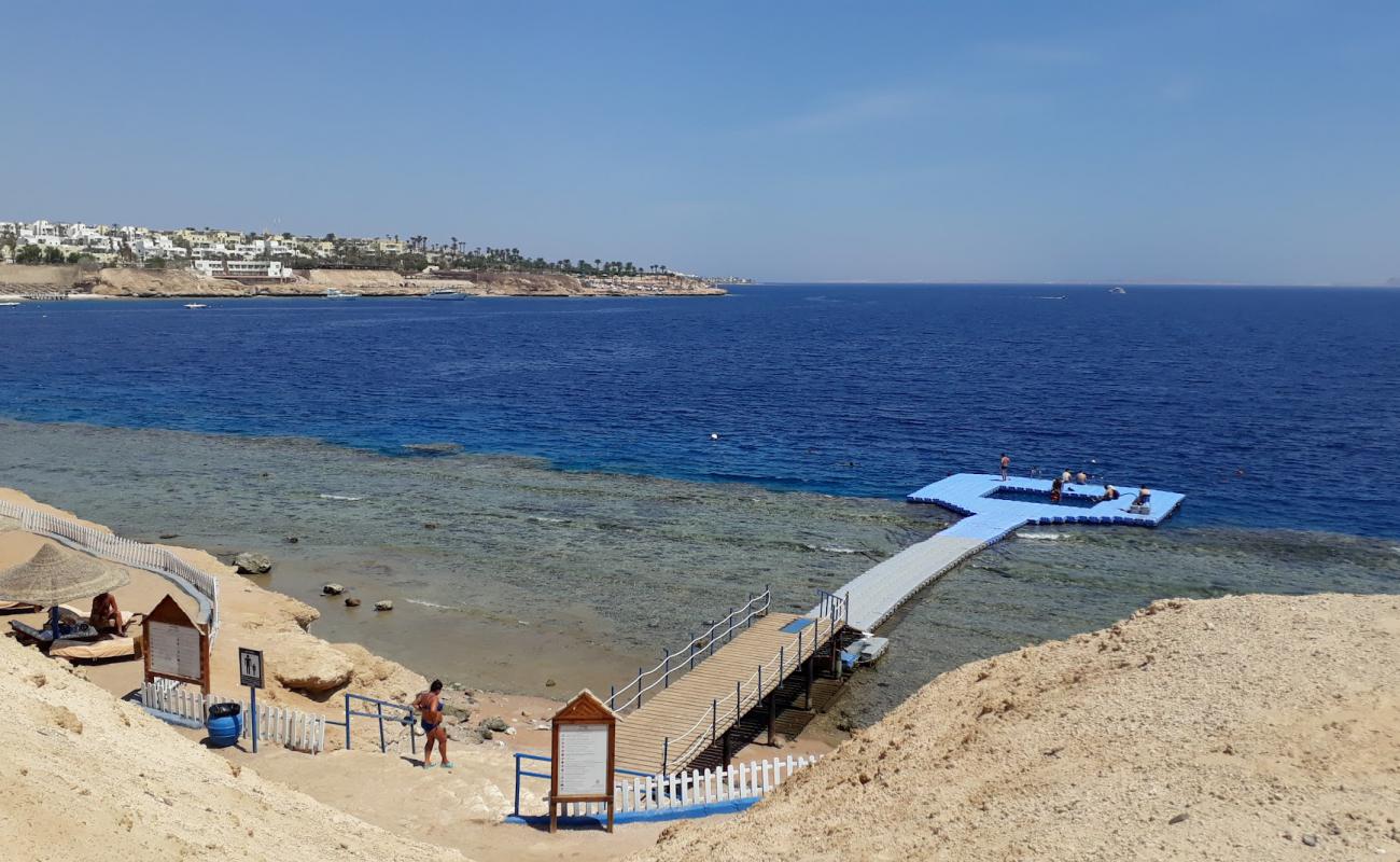 Pyramisa Beach'in fotoğrafı beton kaplı yüzey yüzey ile