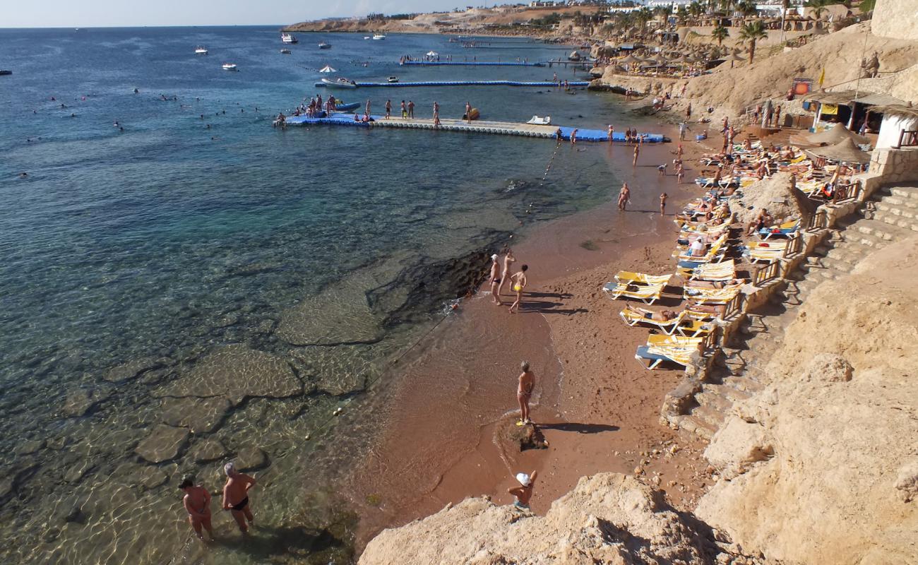 Shark Bay beach'in fotoğrafı beton kapak yüzey ile