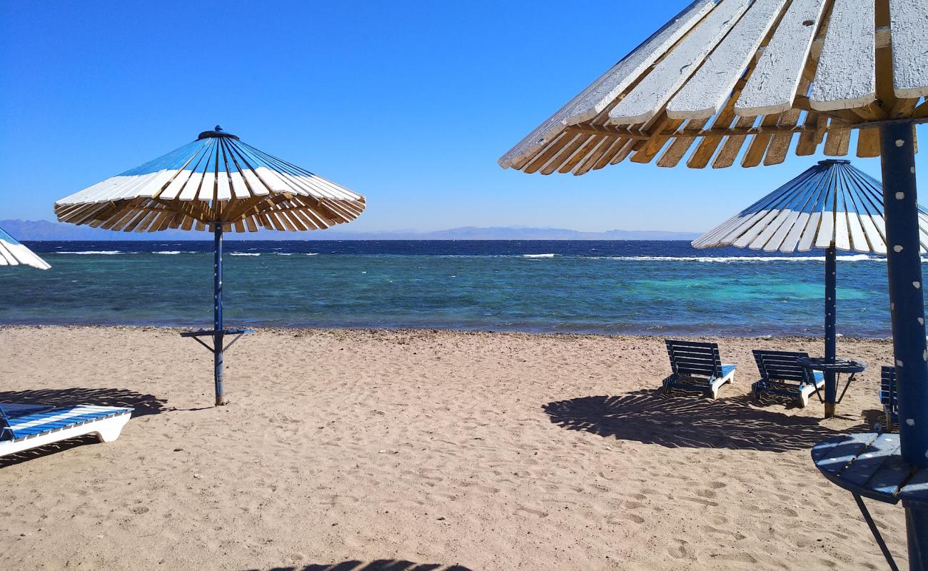 Laguna Beach'in fotoğrafı parlak kum yüzey ile