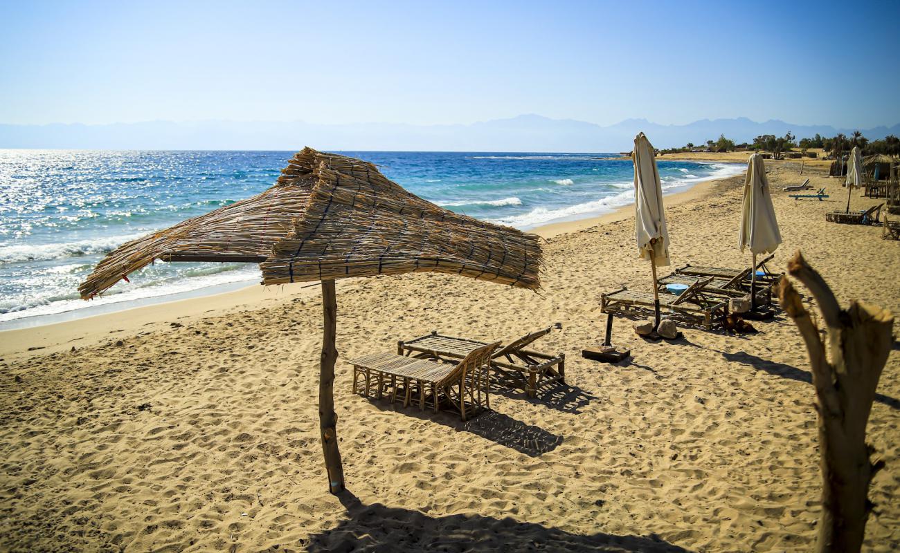 Nuweiba Club Resort'in fotoğrafı açık bej kum yüzey ile