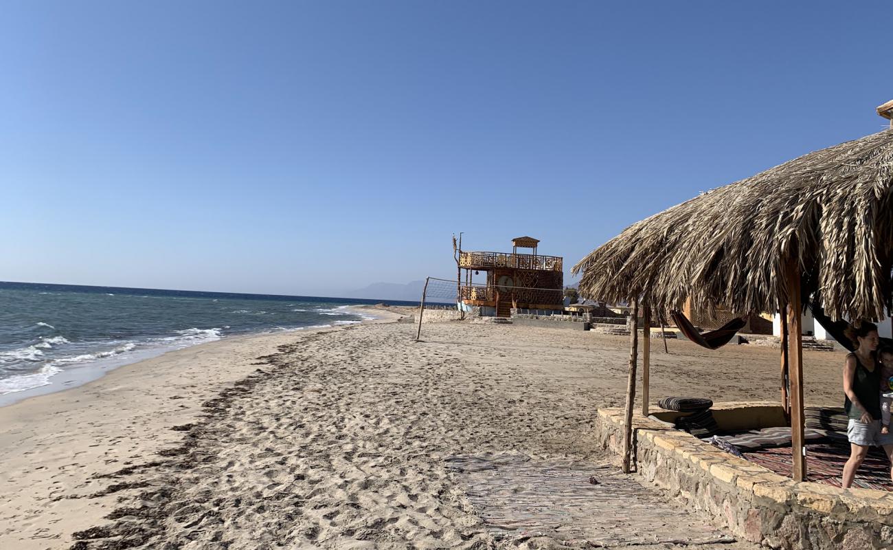 Dana beach'in fotoğrafı açık bej kum yüzey ile