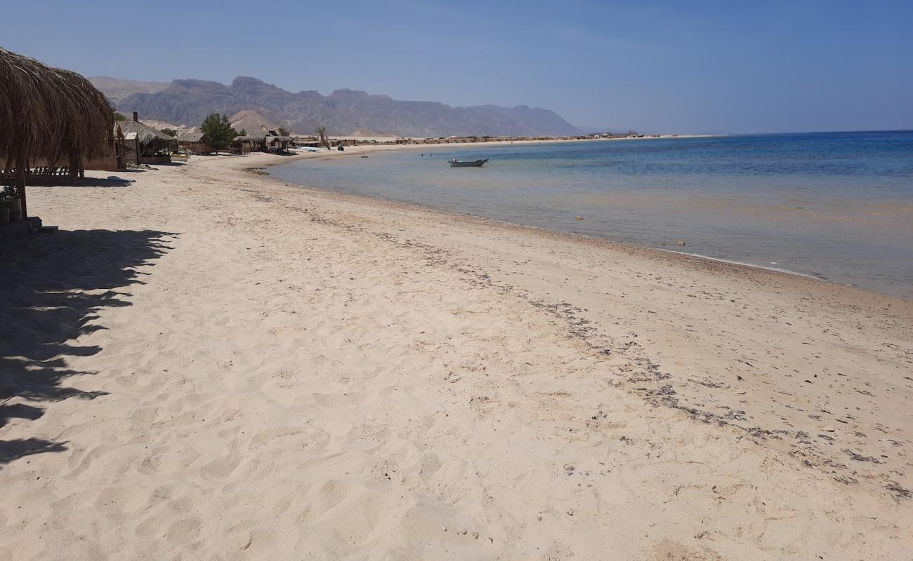 Friends Camp beach'in fotoğrafı parlak kum yüzey ile