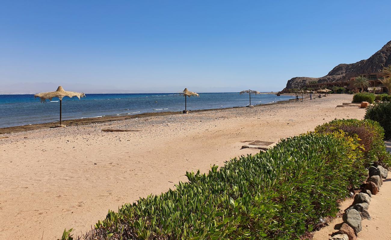 Saladin Hotel Taba'in fotoğrafı bej çakıl yüzey ile