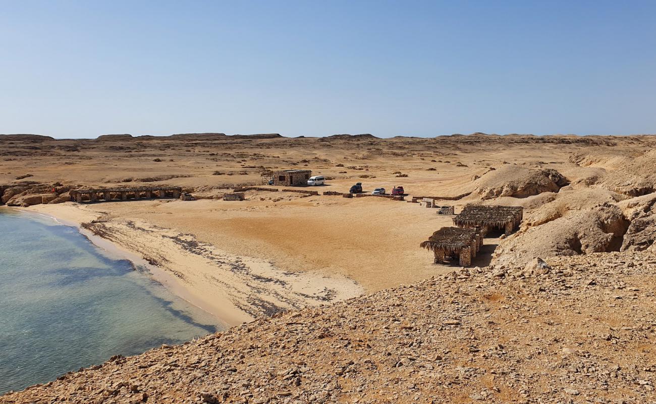 Shark Reef beach'in fotoğrafı açık bej kum yüzey ile