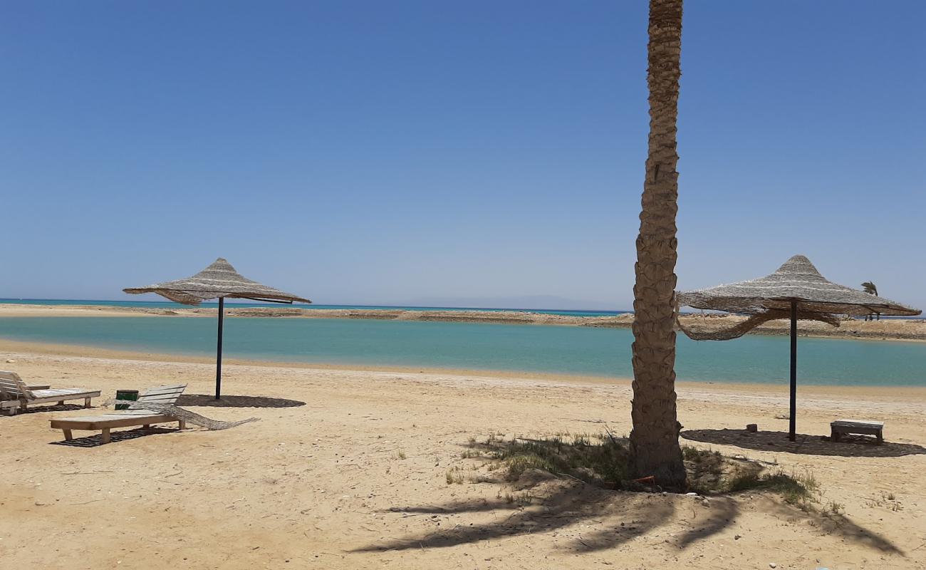 Paradise Ras Sudr'in fotoğrafı açık bej kum yüzey ile