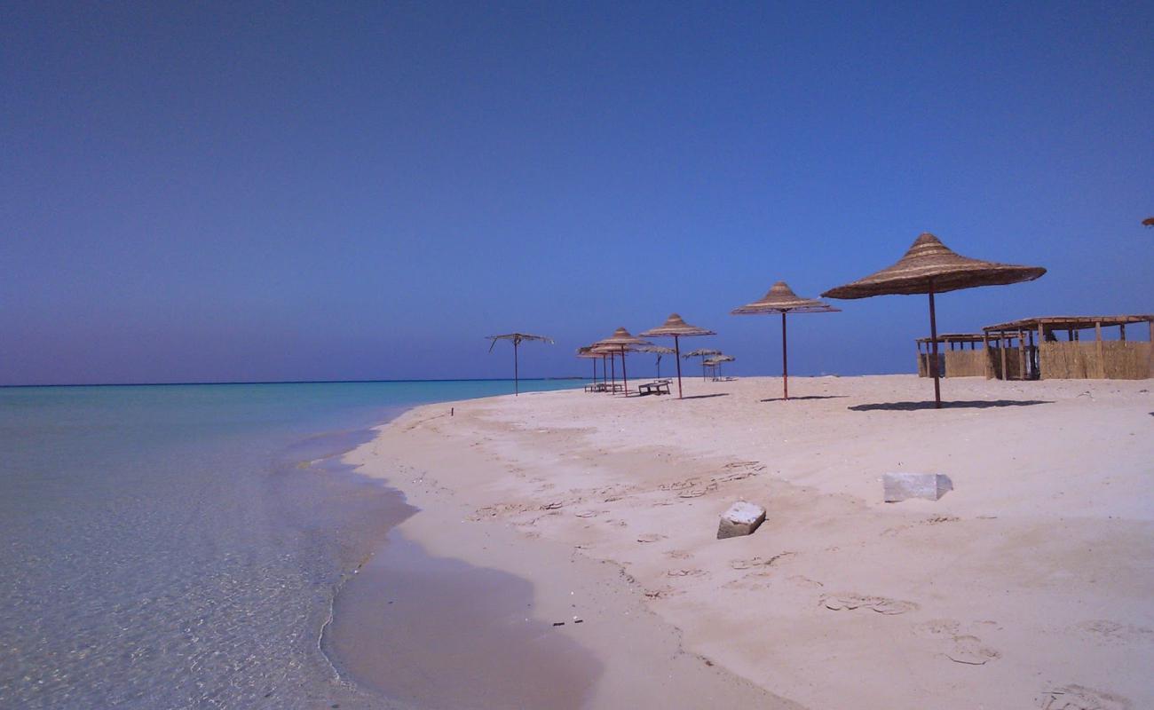 Ras Sidr beach'in fotoğrafı parlak kum yüzey ile