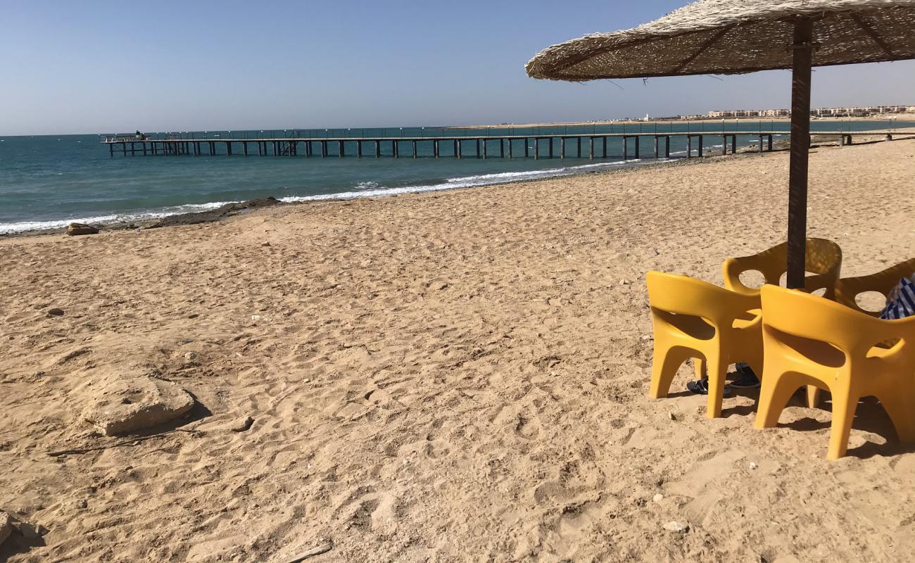 White Bay'in fotoğrafı açık bej kum yüzey ile