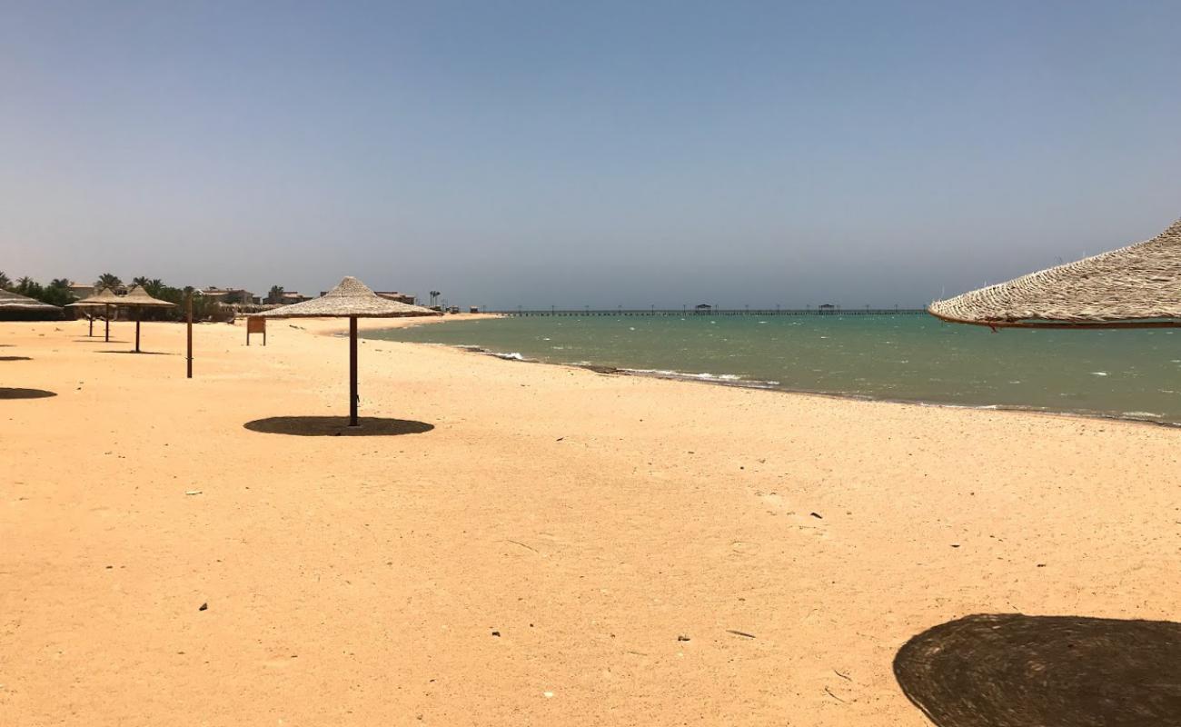 Coral Sea beach'in fotoğrafı parlak kum yüzey ile