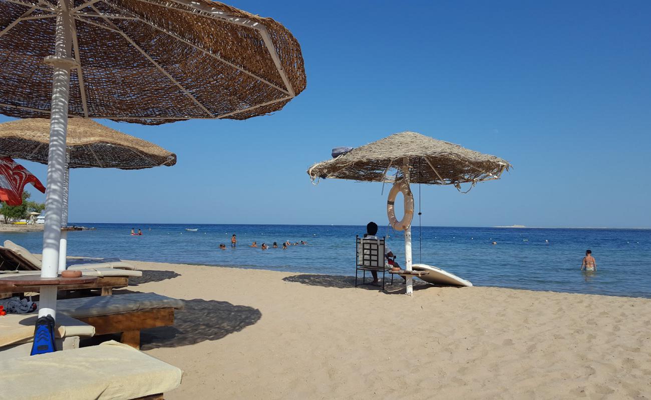 Safaga beach'in fotoğrafı parlak kum yüzey ile