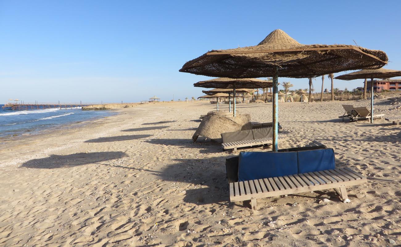 Coral Hills Beach'in fotoğrafı açık bej kum yüzey ile