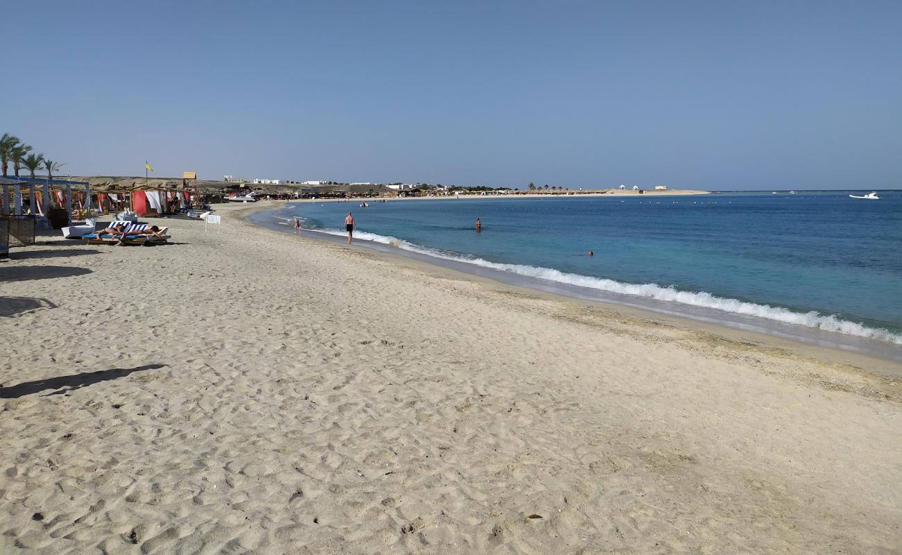 Abu Dabbab'in fotoğrafı açık bej kum yüzey ile