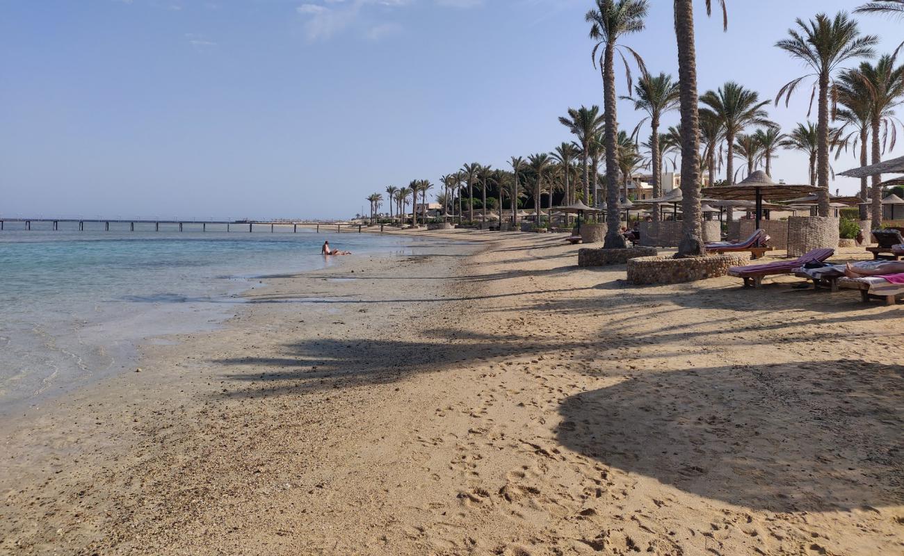 Elphistone Resort Marsa Alam Plajı'in fotoğrafı parlak kum yüzey ile