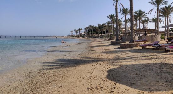 Elphistone Resort Marsa Alam Plajı