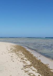 Marsa Alam