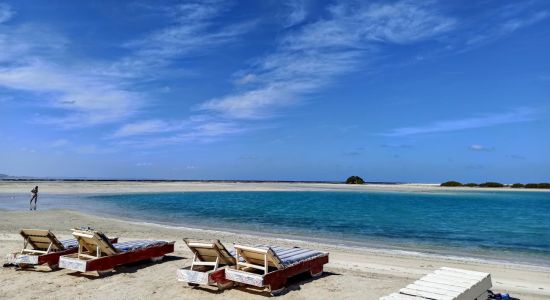 Qulaan Mangrove Beach