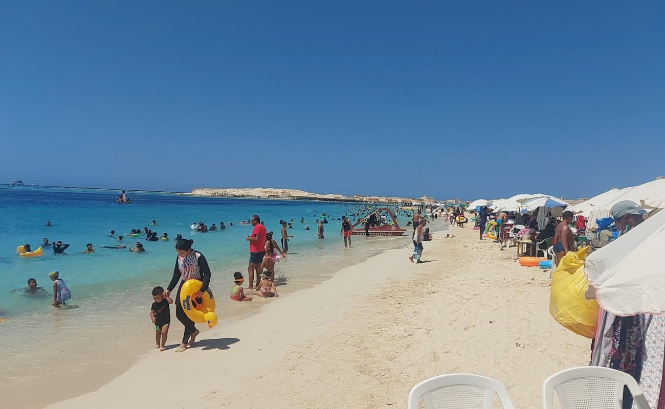 Al Mubarak Beach'in fotoğrafı i̇nce bej kum yüzey ile