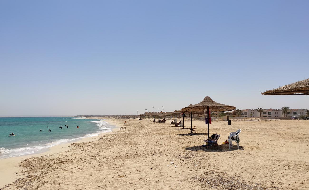 Santa Monika Beach'in fotoğrafı açık bej kum yüzey ile