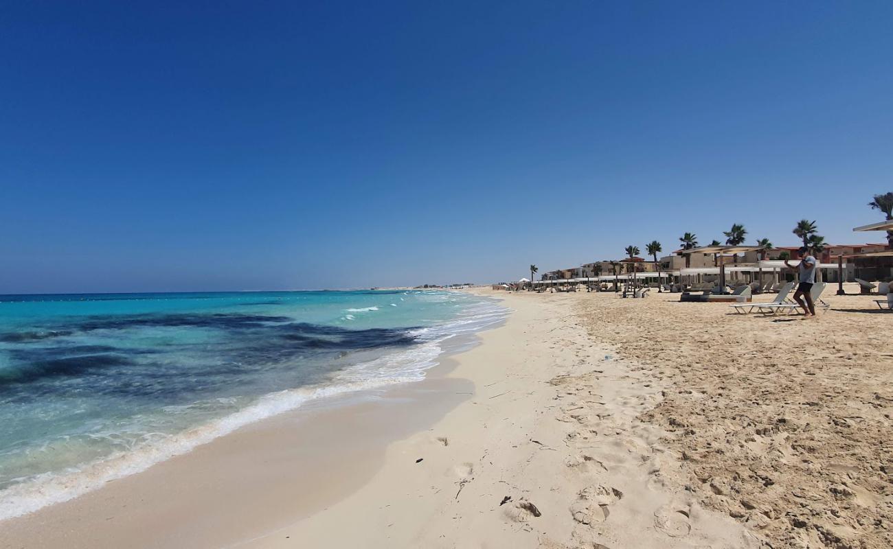 Marsa Baghush Beach'in fotoğrafı parlak ince kum yüzey ile