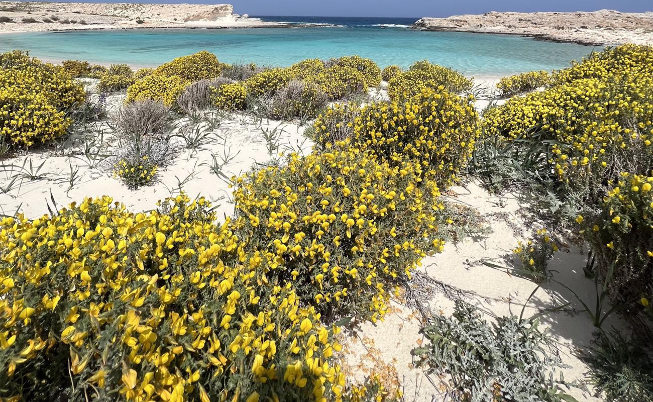 Ras El Hikma Beach'in fotoğrafı açık bej kum yüzey ile