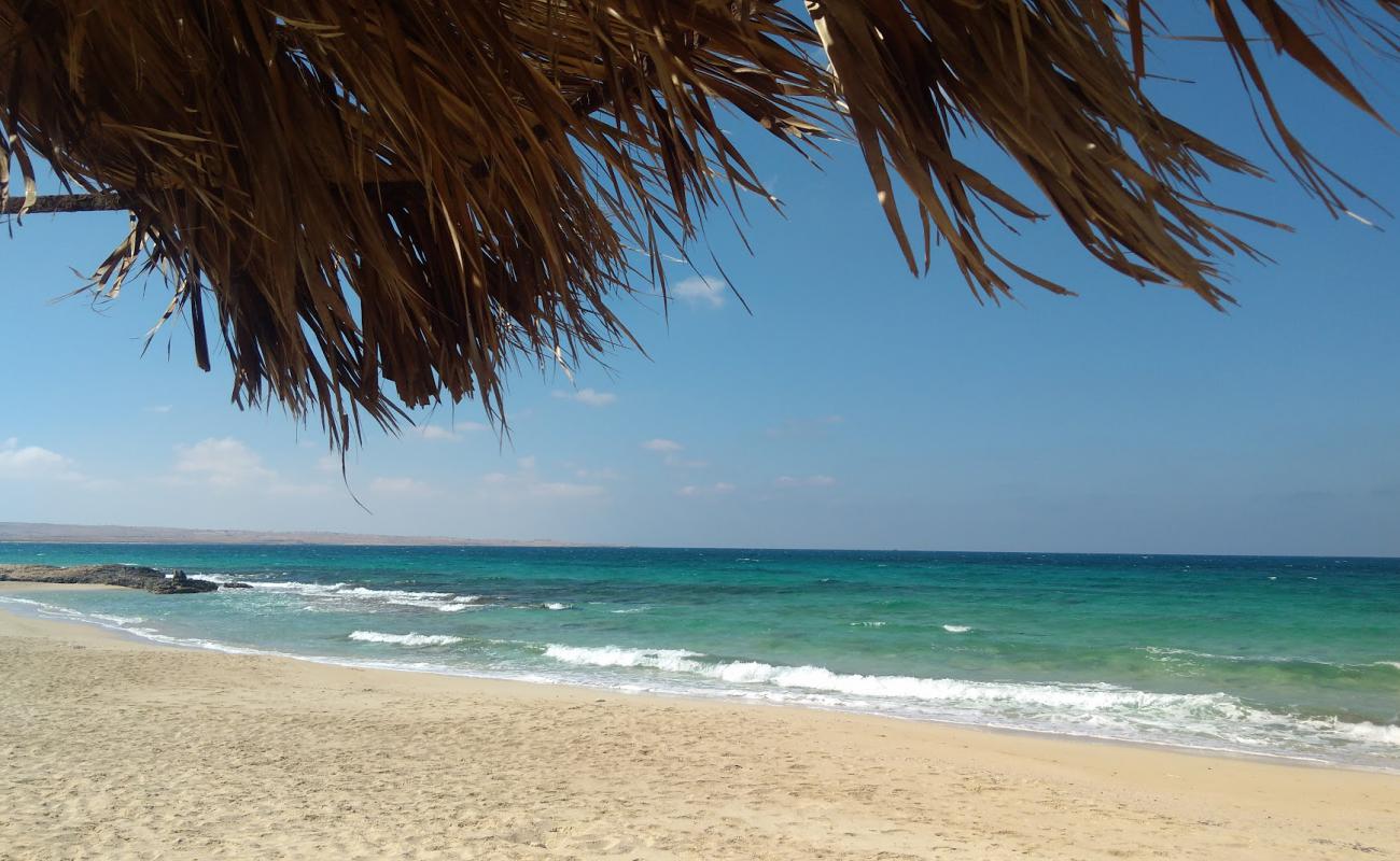 Etap resort Beach'in fotoğrafı açık bej kum yüzey ile