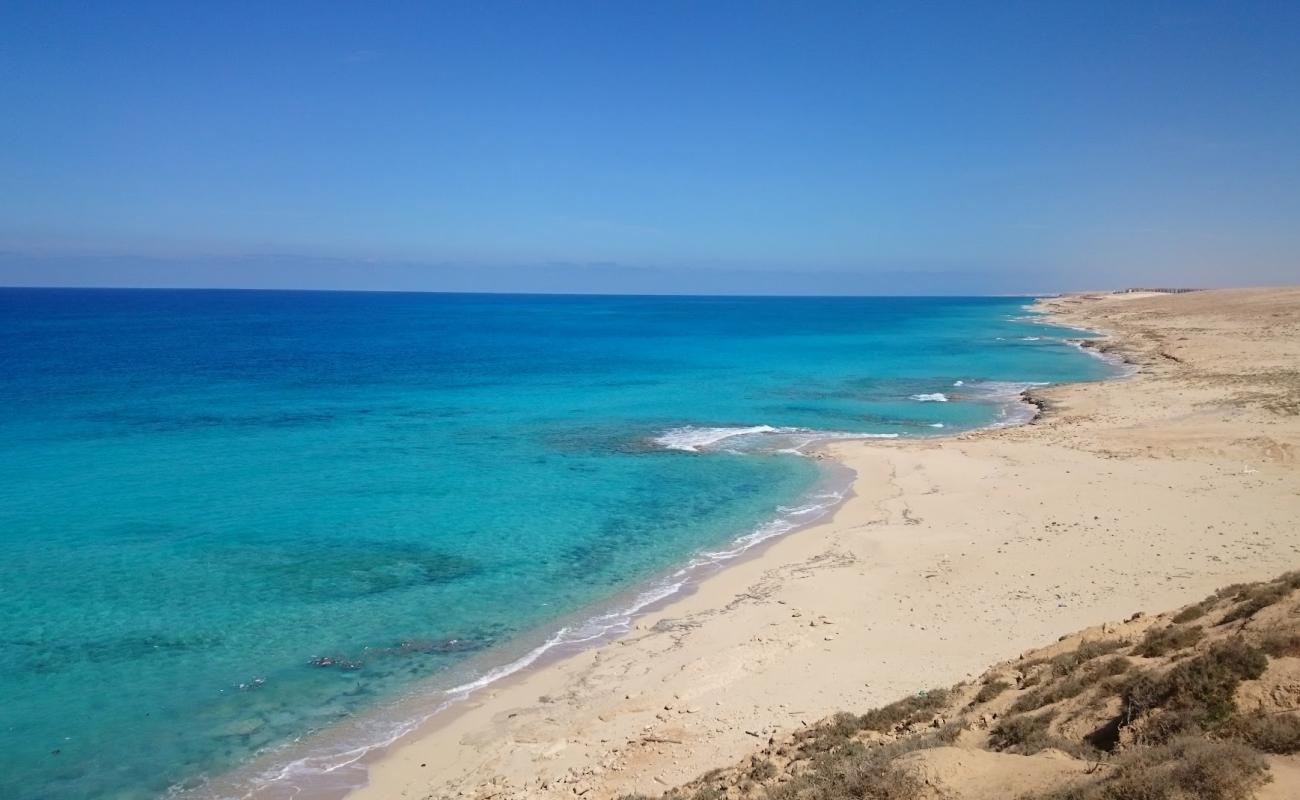 Shore Beach'in fotoğrafı açık bej kum yüzey ile