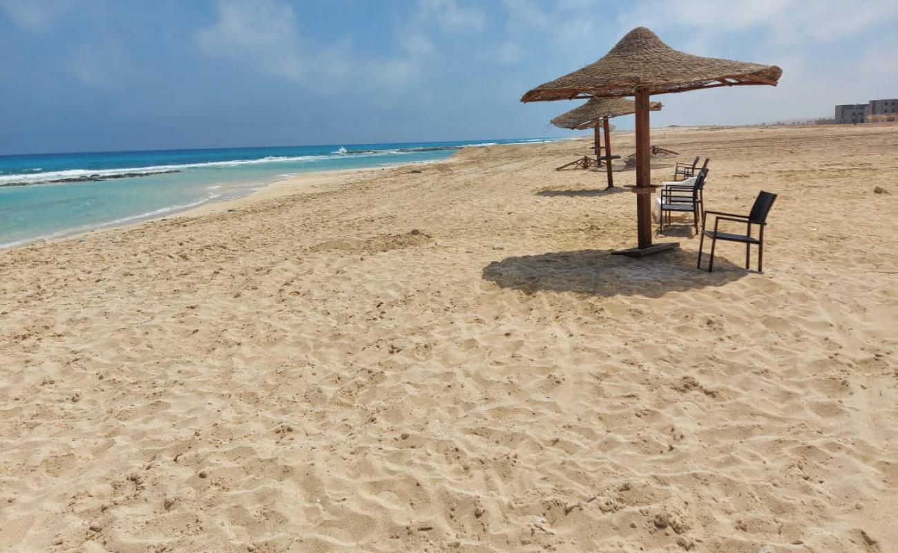 La Vista Bay'in fotoğrafı i̇nce bej kum yüzey ile