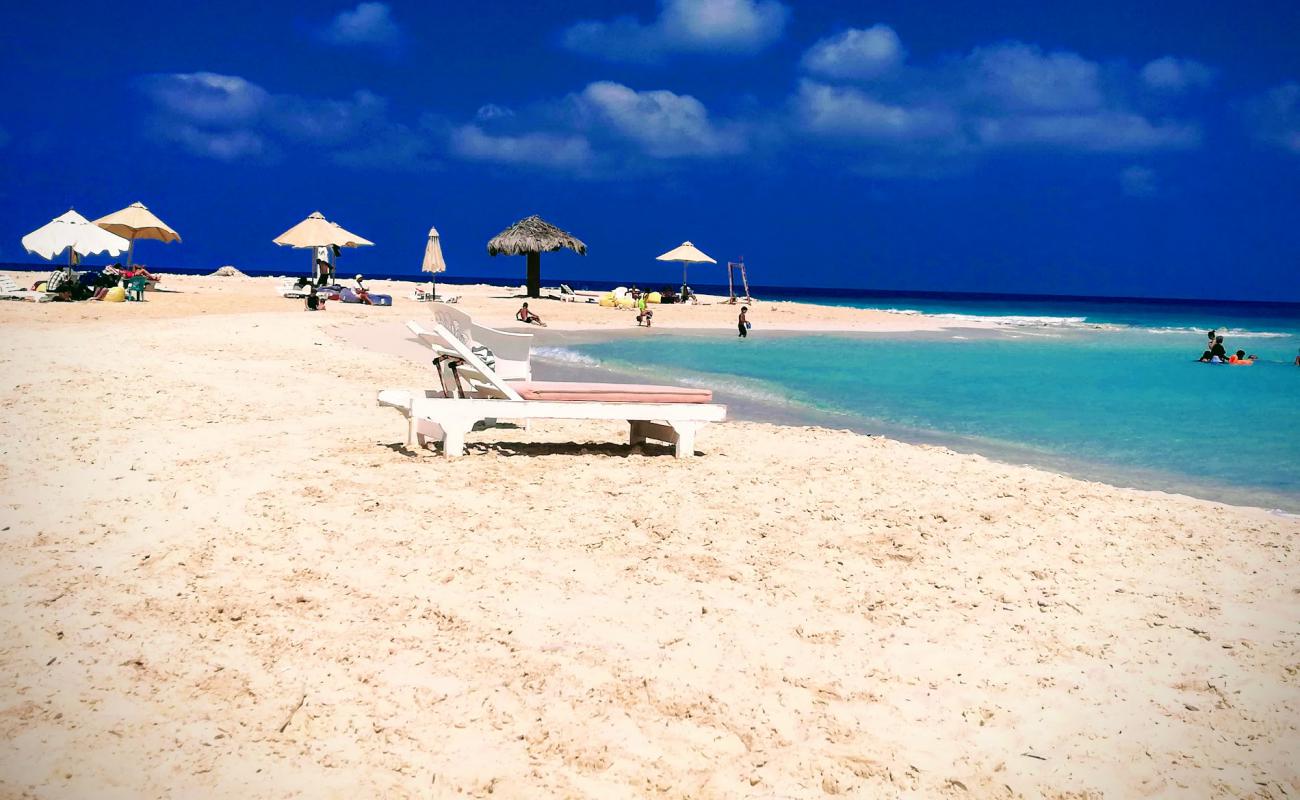 Ghazala Beach'in fotoğrafı i̇nce beyaz kum yüzey ile