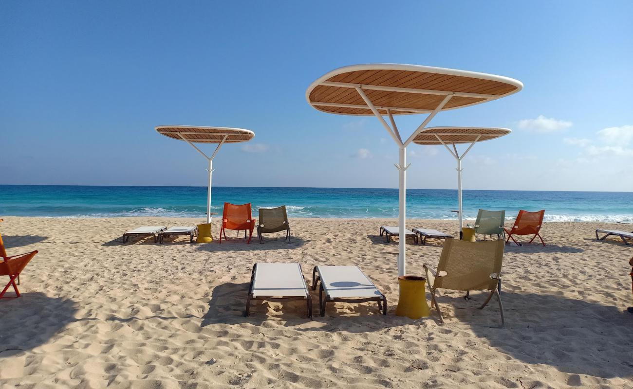 Amwaj Beach'in fotoğrafı beyaz ince kum yüzey ile