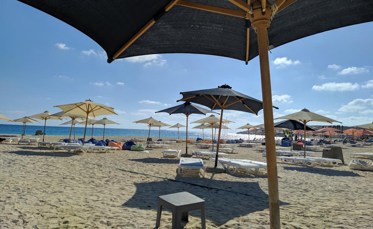Pirates Beach Club'in fotoğrafı i̇nce beyaz kum yüzey ile