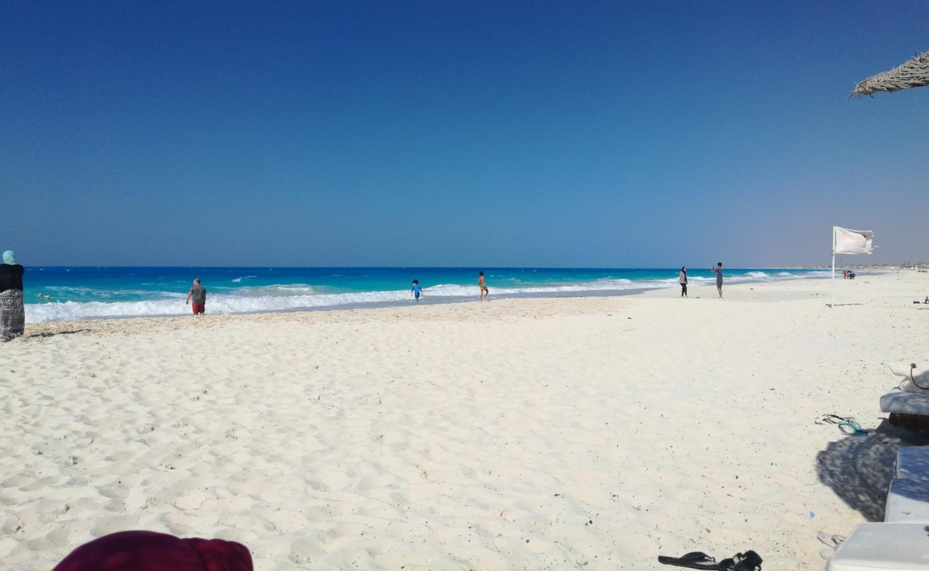 Assiut University Beach'in fotoğrafı beyaz kum yüzey ile