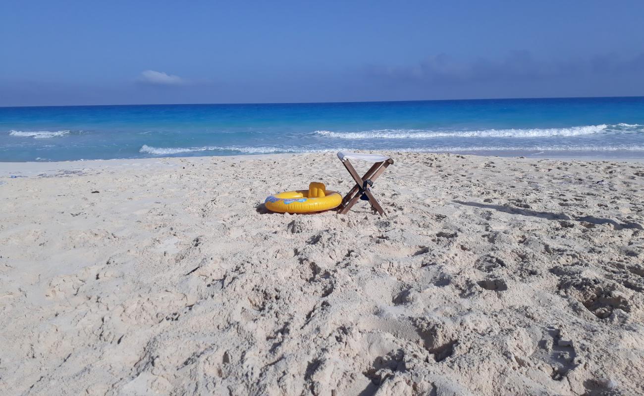 El-Rowad Beach'in fotoğrafı beyaz ince kum yüzey ile