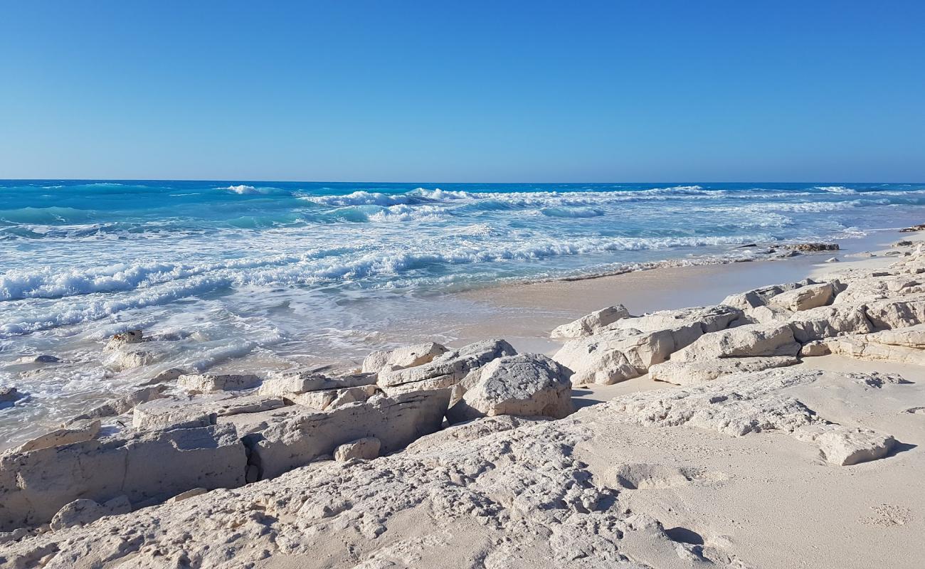 Paradise Beach'in fotoğrafı i̇nce beyaz kum yüzey ile