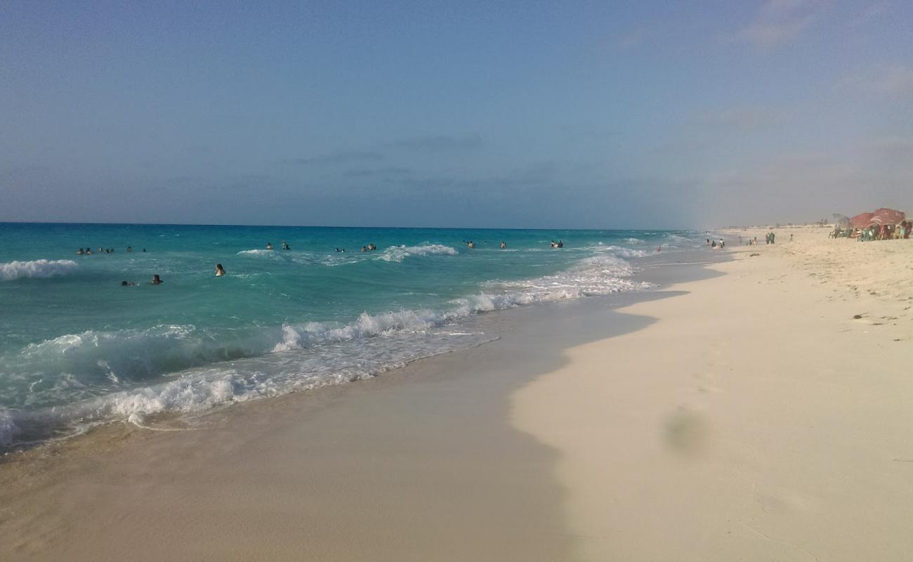 Al Marwa Beach'in fotoğrafı i̇nce beyaz kum yüzey ile