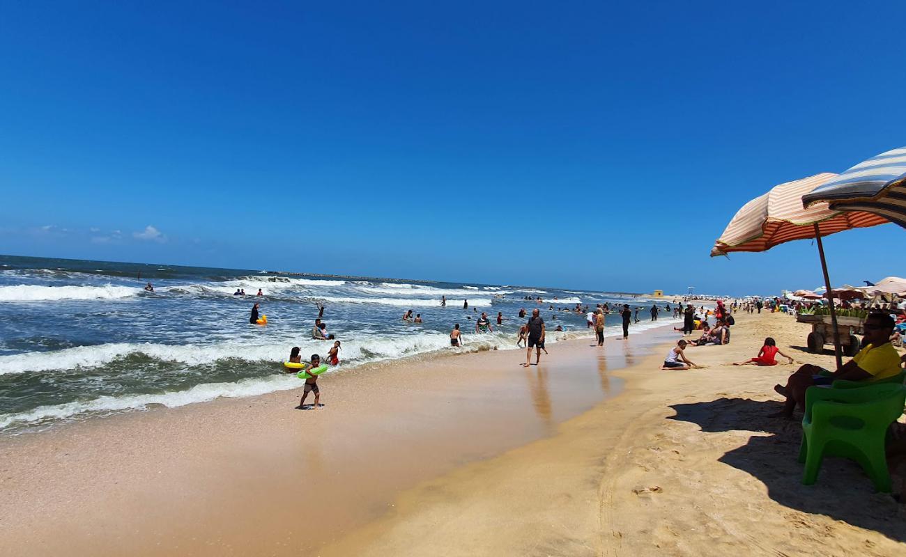 Palm Beach'in fotoğrafı açık bej kum yüzey ile