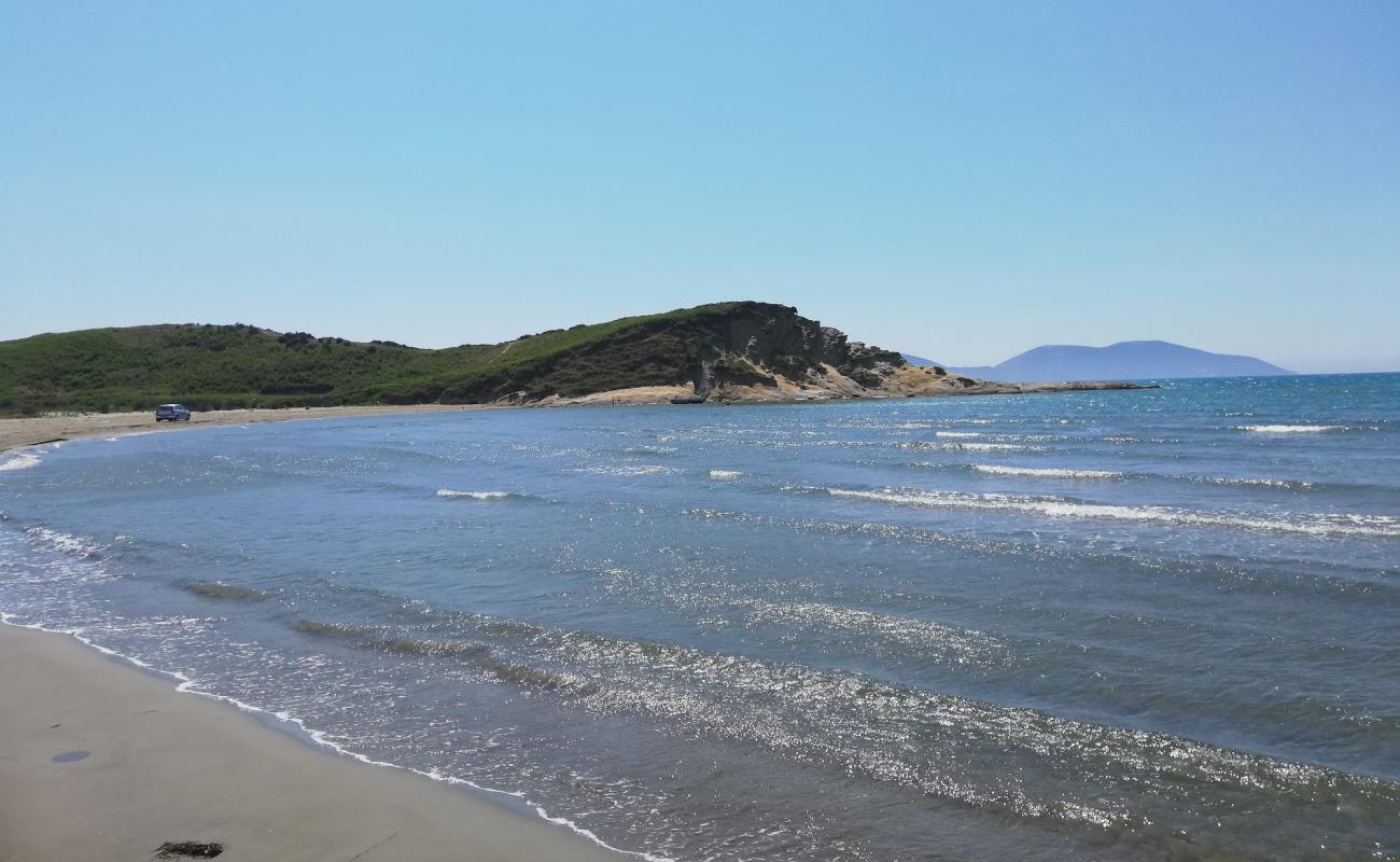 Zvernec Beach'in fotoğrafı i̇nce kahverengi kum yüzey ile