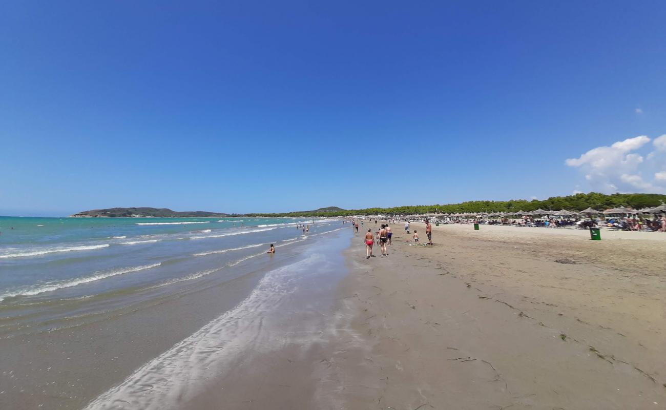 Narta beach'in fotoğrafı i̇nce kahverengi kum yüzey ile