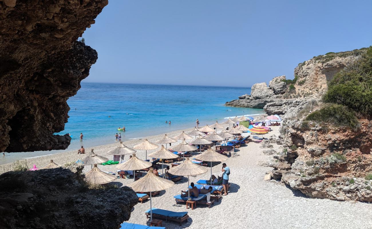Palasa beach'in fotoğrafı bej çakıl yüzey ile