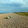 Sandwich Bay