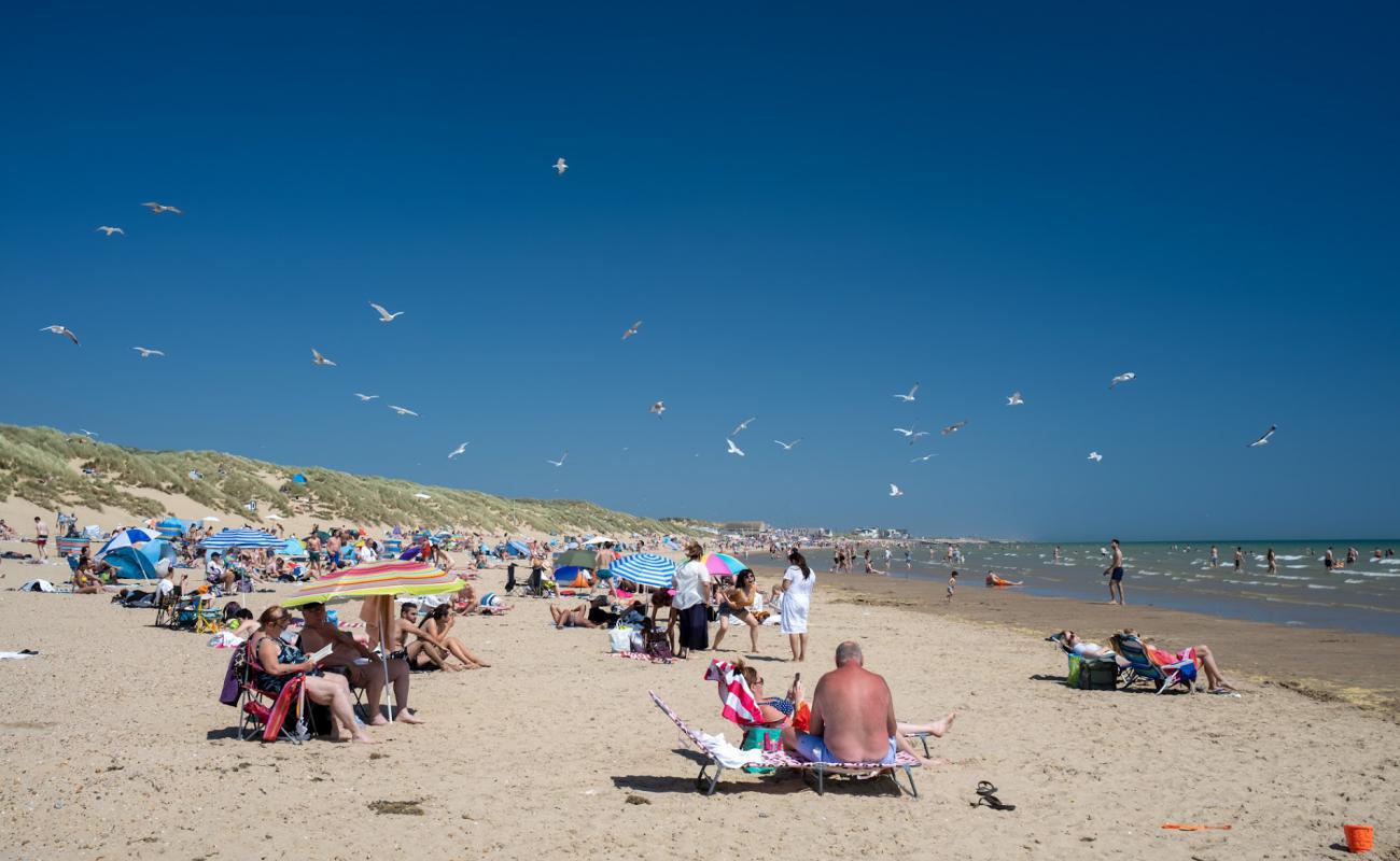 Camber sands beach'in fotoğrafı parlak kum yüzey ile