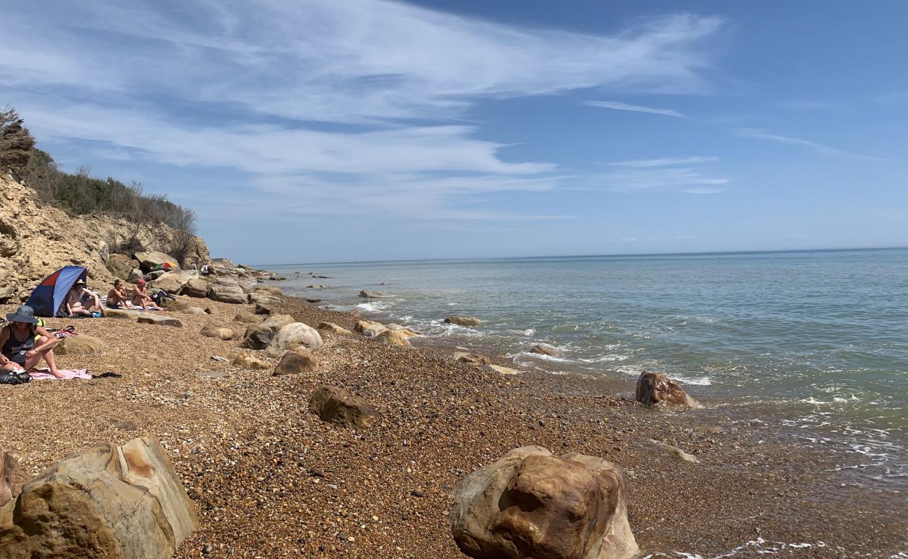 Fairlight Glen Naturist'in fotoğrafı hafif çakıl yüzey ile