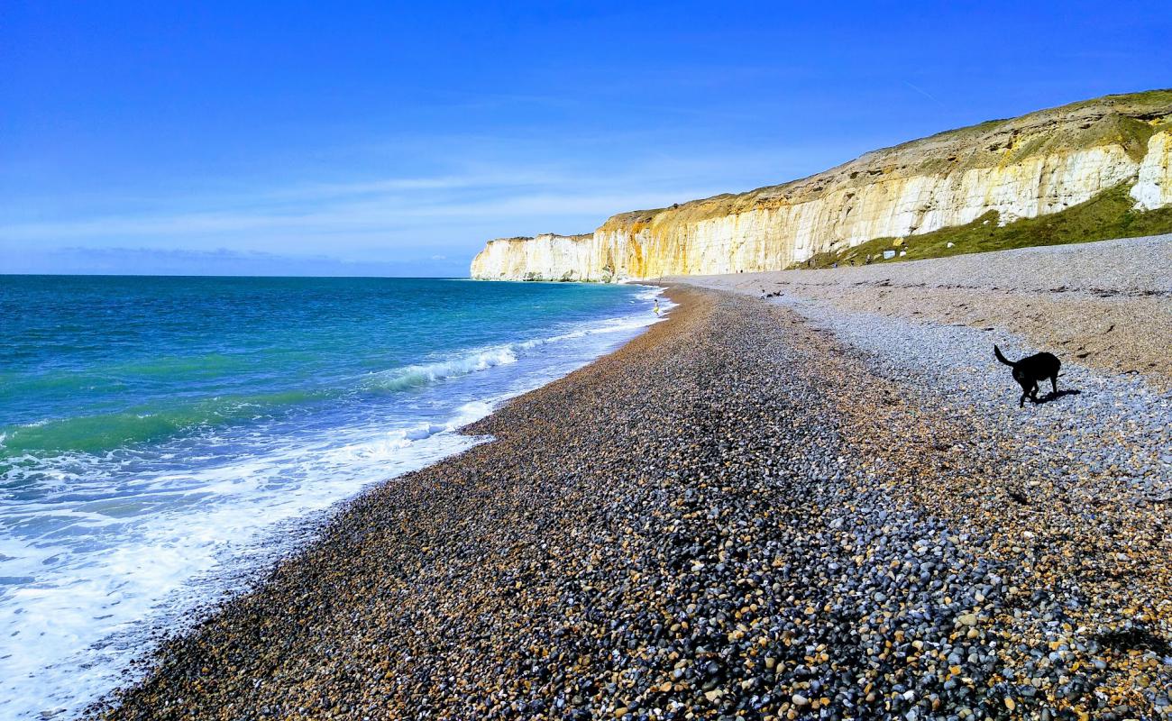 Newhaven beach'in fotoğrafı parlak kum ve kayalar yüzey ile