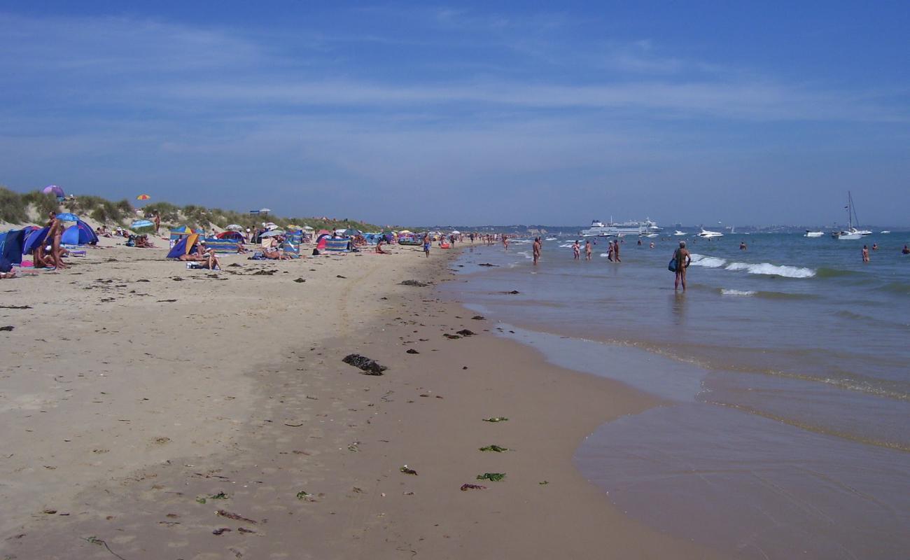 Studland Naturist beach'in fotoğrafı parlak ince kum yüzey ile