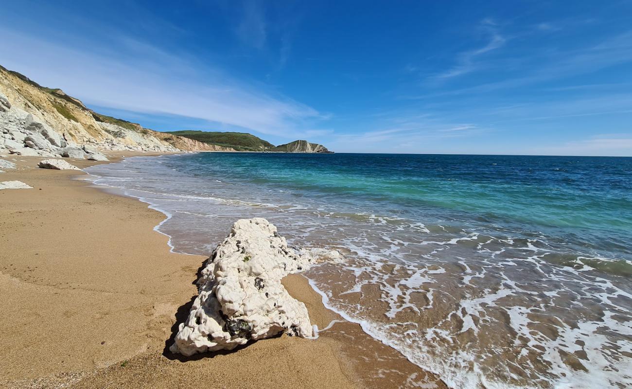 Worbarrow beach'in fotoğrafı hafif ince çakıl taş yüzey ile