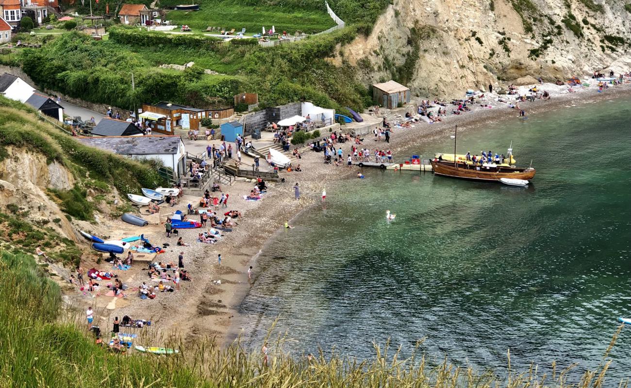 Lulworth Cove'in fotoğrafı taşlar yüzey ile