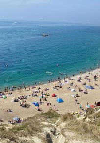 Dorset Kontluğu