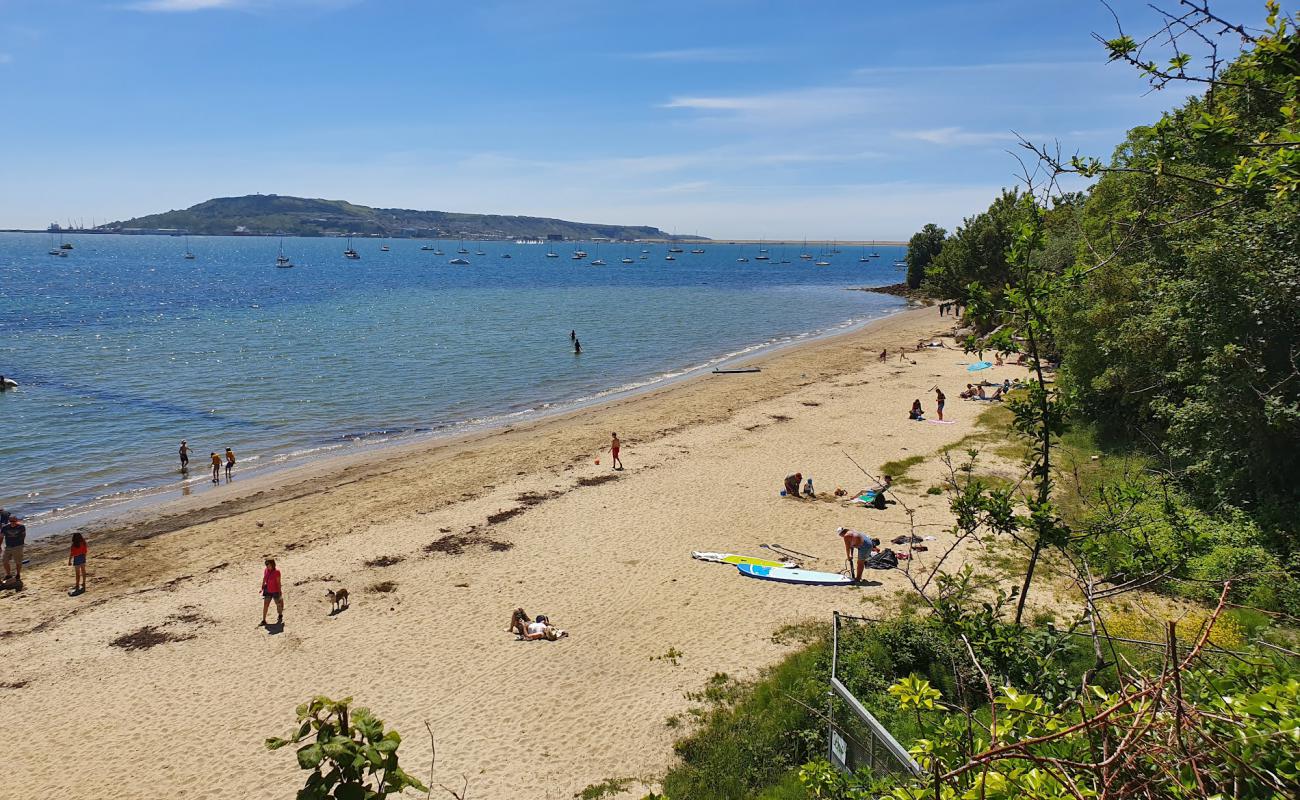 Castle Cove'in fotoğrafı açık bej kum yüzey ile